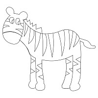 zebra single